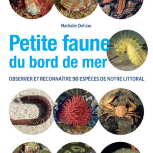 Petite faune du bord de mer : le guide pour reconnaître 50 espèces de notre littoral