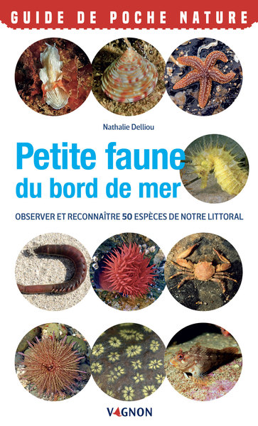 Petite faune du bord de mer : le guide pour reconnaître 50 espèces de notre littoral