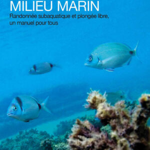 Découverte du milieu marin