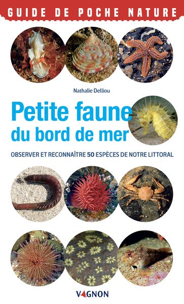 Petite faune du bord de mer : le guide pour reconnaître 50 espèces de notre littoral