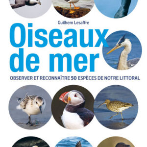 oiseaux de mer
