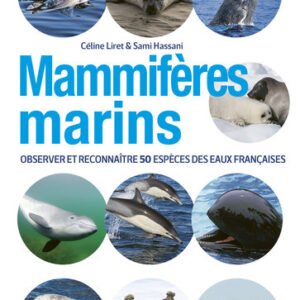 Mammifères marins