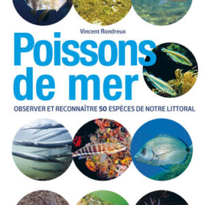Poissons de mer